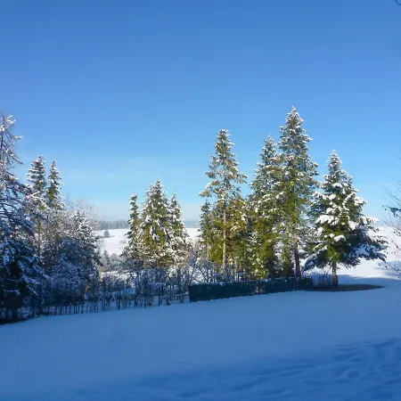 Vogelsang-2 *